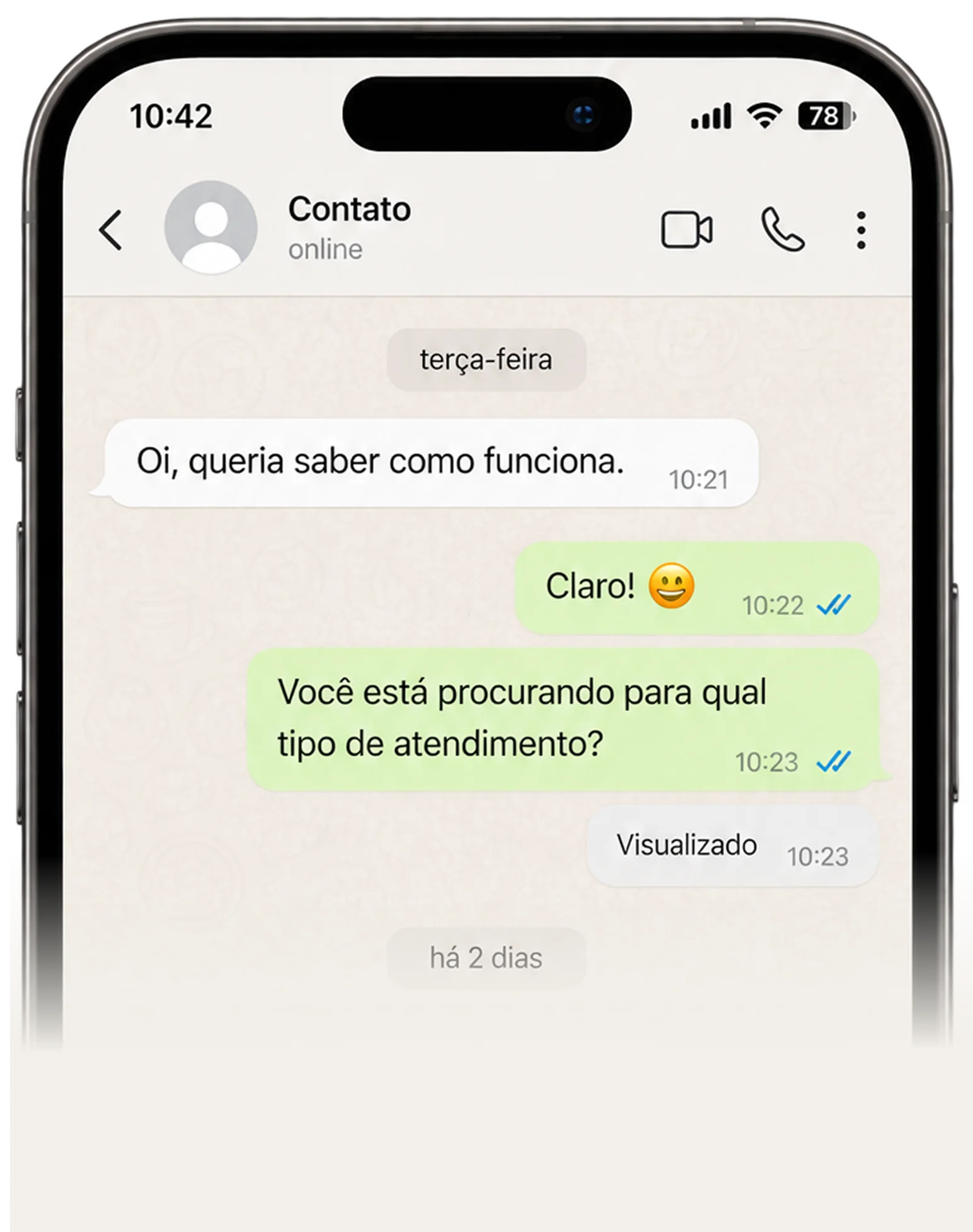 Conversa de WhatsApp em que a pessoa pergunta como funciona e depois some